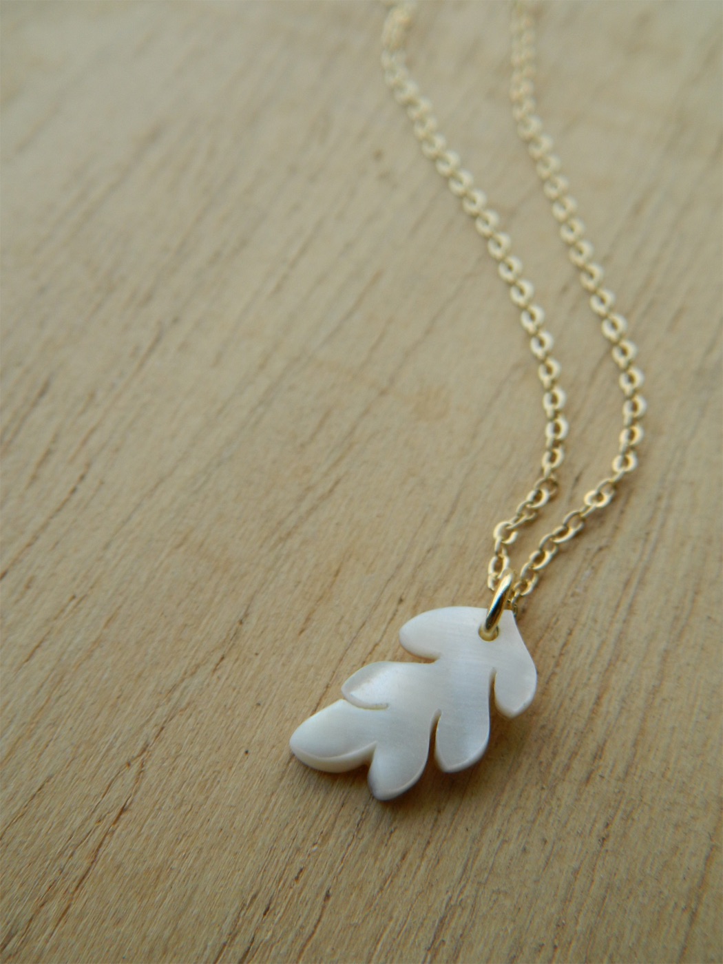 Fauna & Flora collection